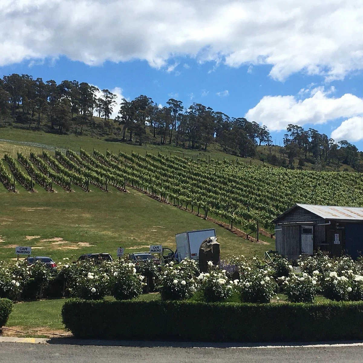 Elmslie Winery