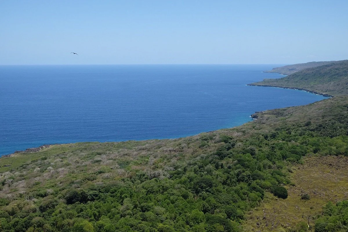 Margaret Knoll Lookout