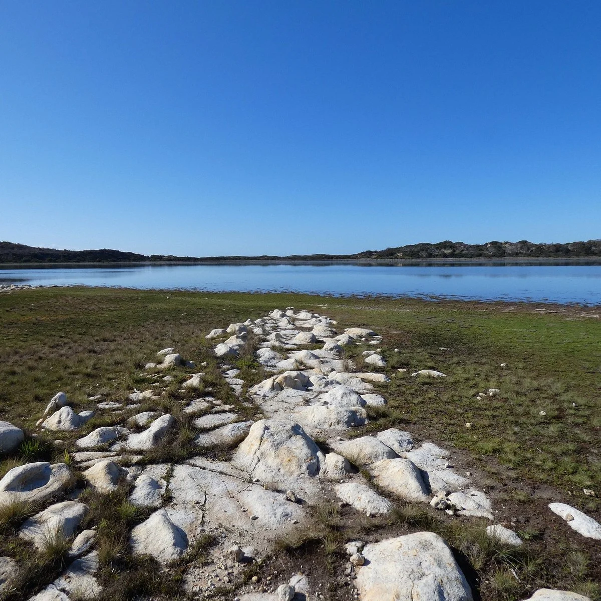 Calverts Lagoon Conservation Area