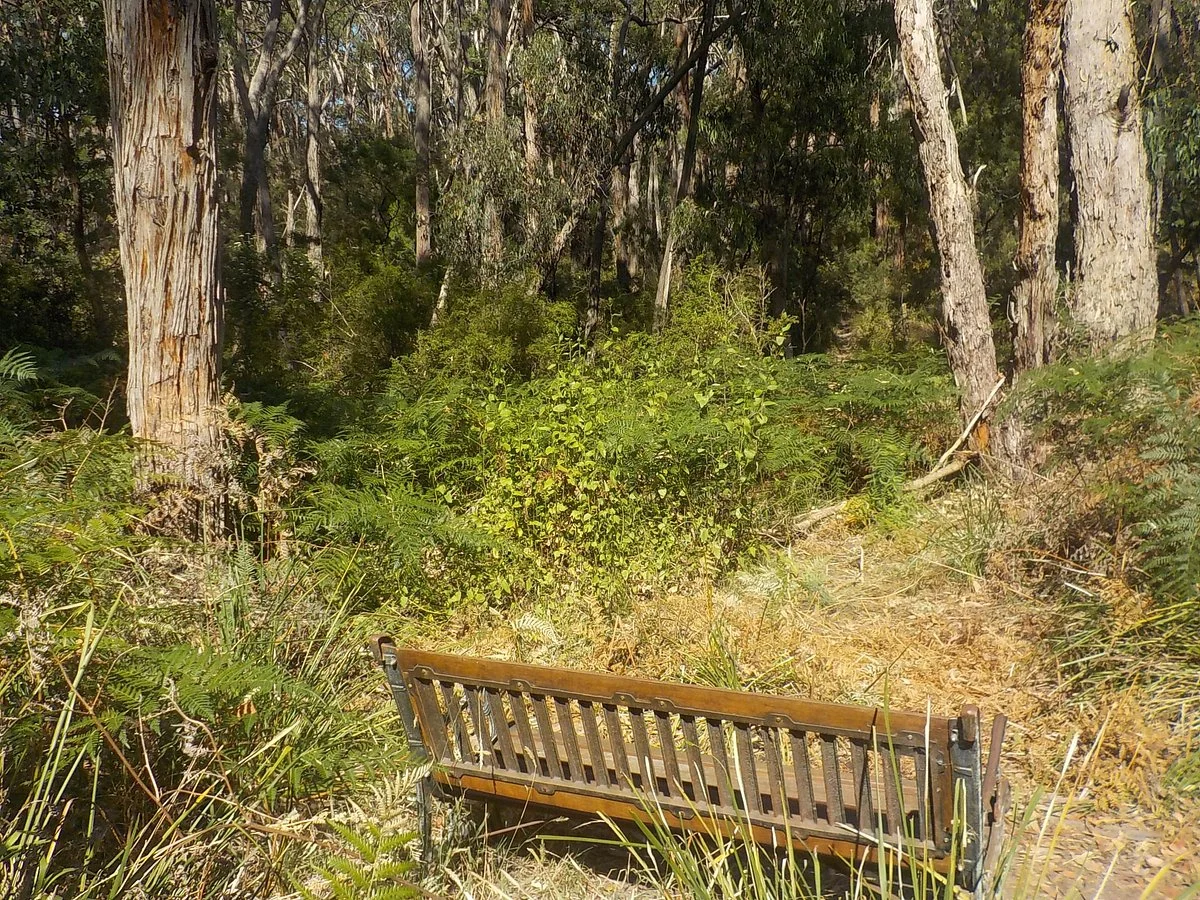 Uambi Reserve - Trust for Nature