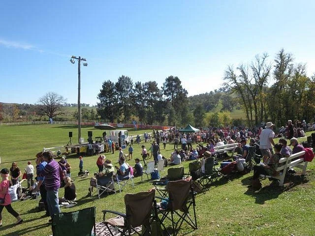 The Great Nundle Dog Race