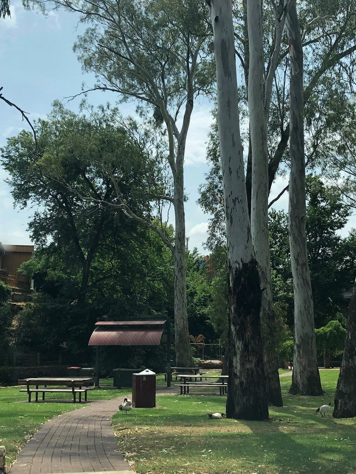 Kaluna Park