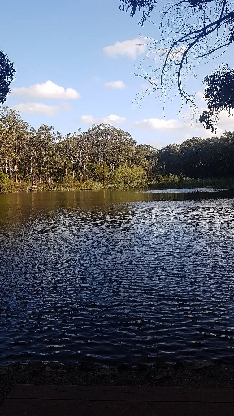 Edward Hunter Bush Reserve