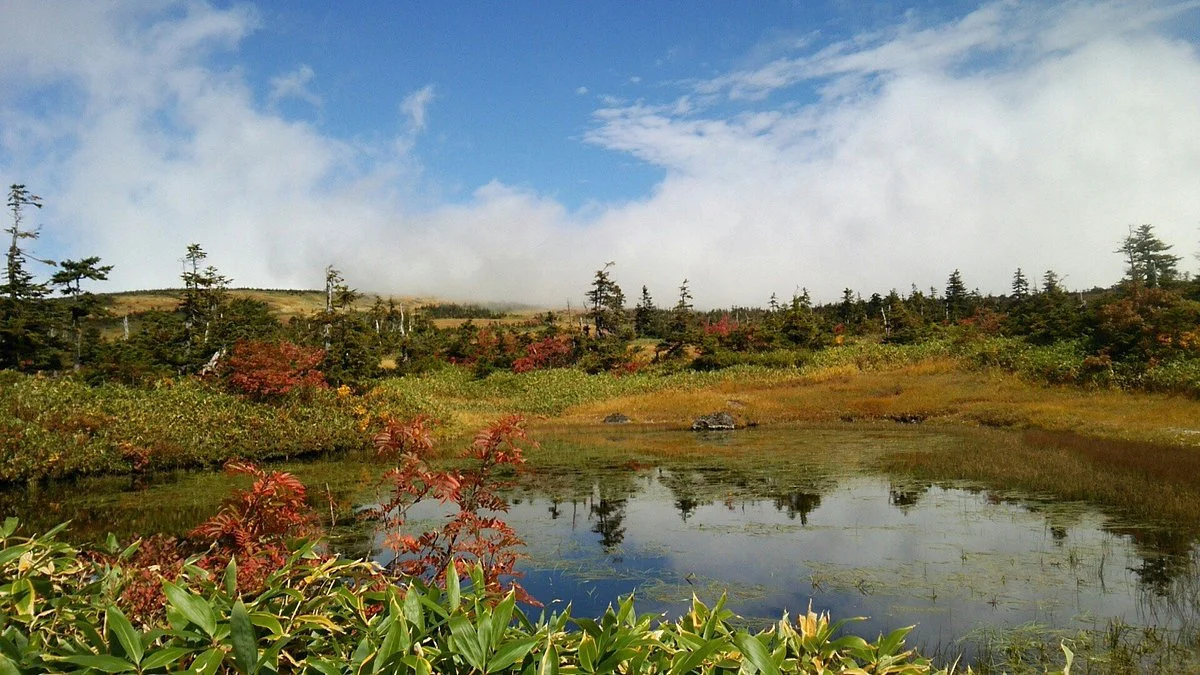 Mt. Naeba