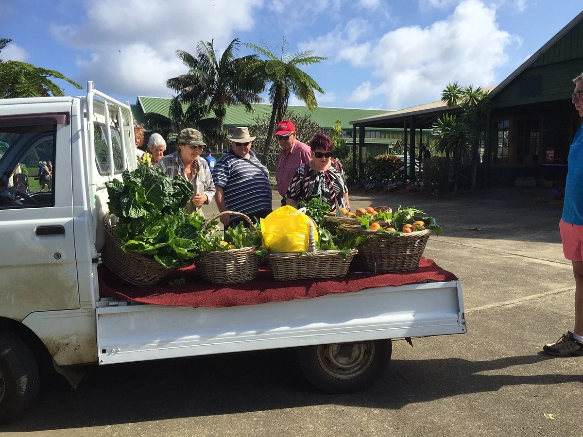 Island Markets
