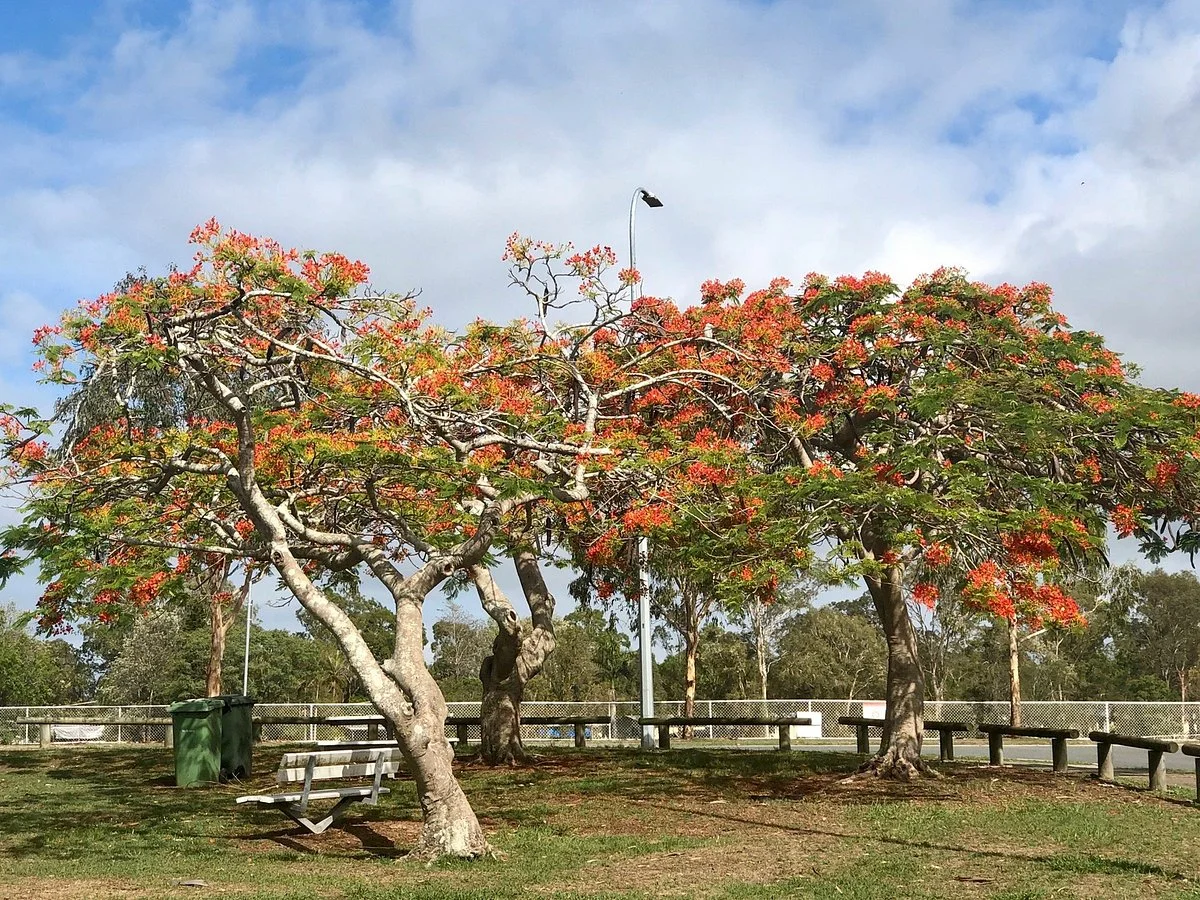 Eagleby Wetlands
