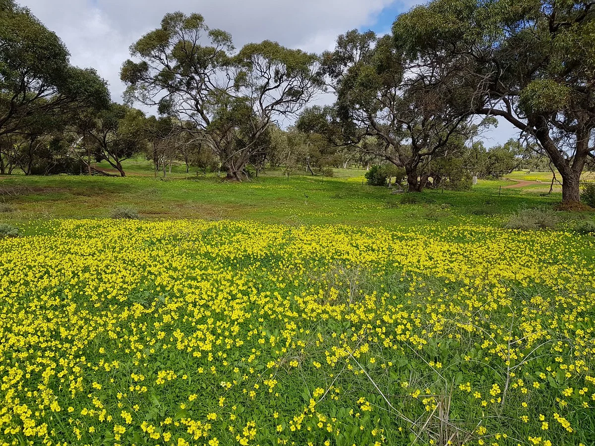 Cobbler Creek Recreation Park