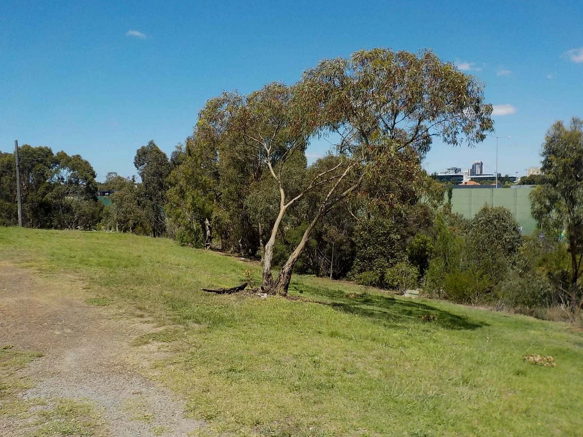 Braddy Reserve