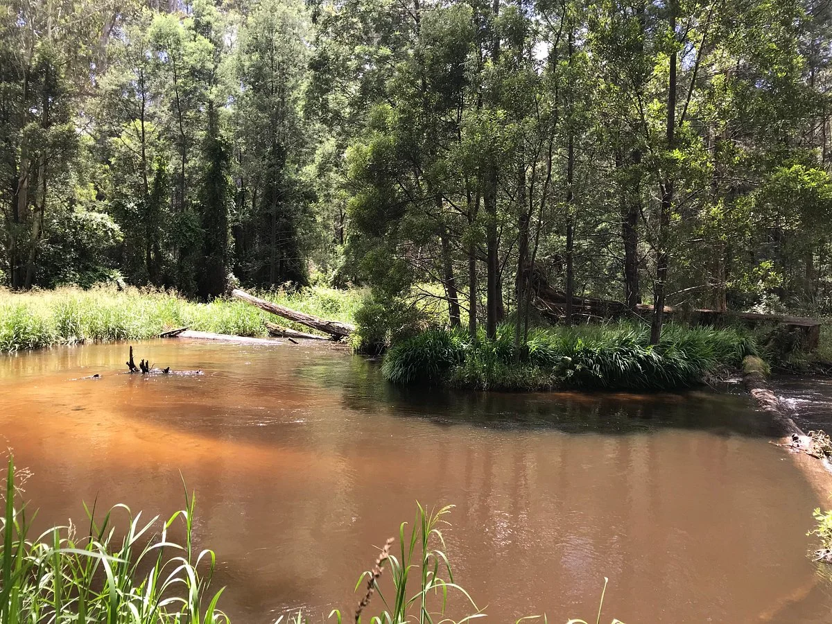 Water Wheel Walk
