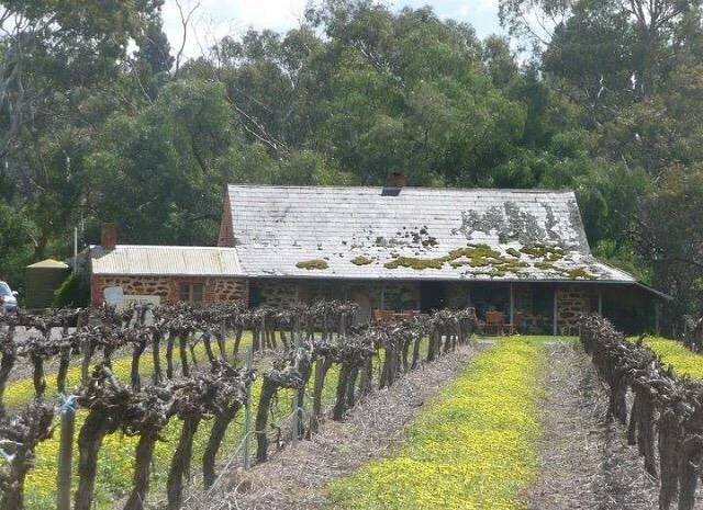 Jenke Vineyards