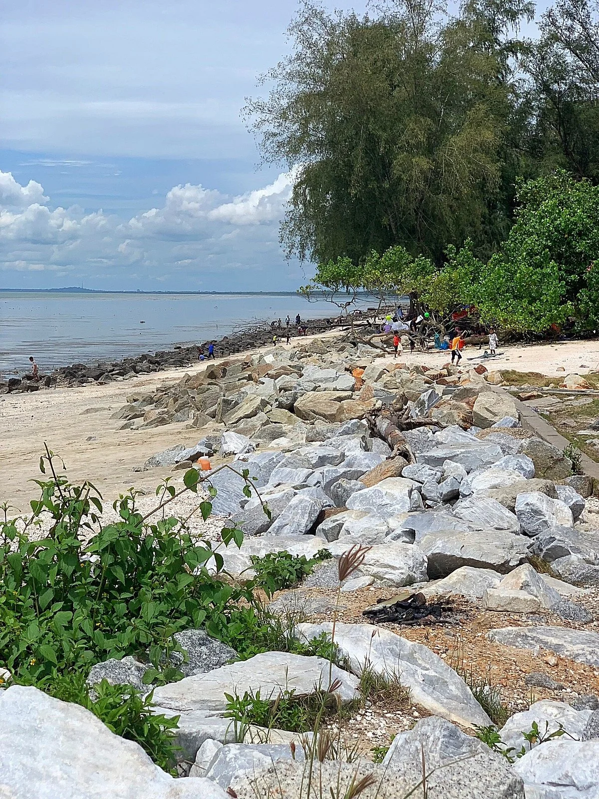 Pantai Remis Kuala Selangor
