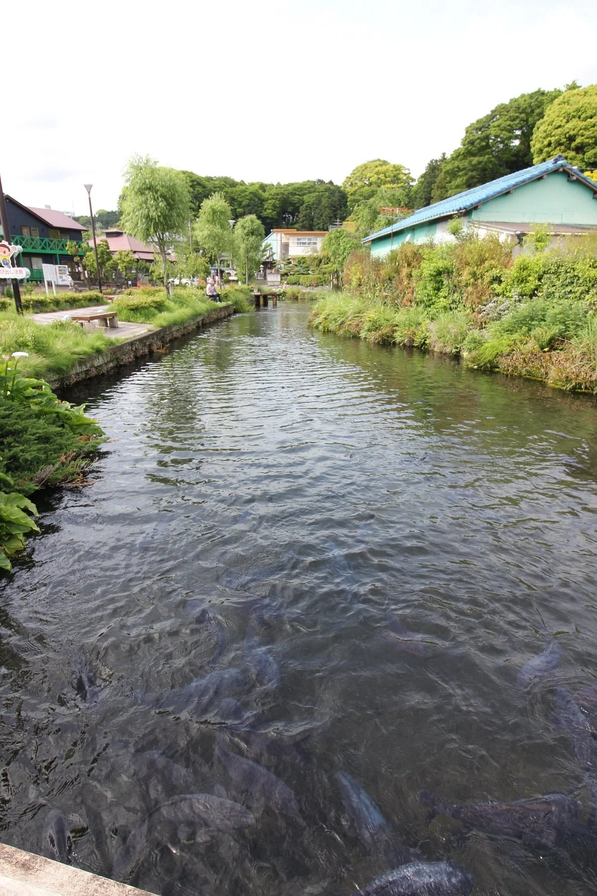 Yusui Park