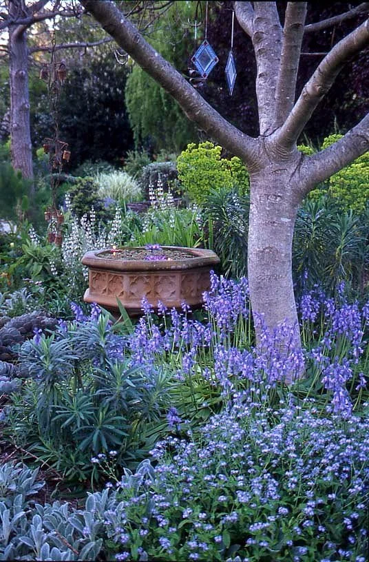 Out of Town Nursery and Humming Garden