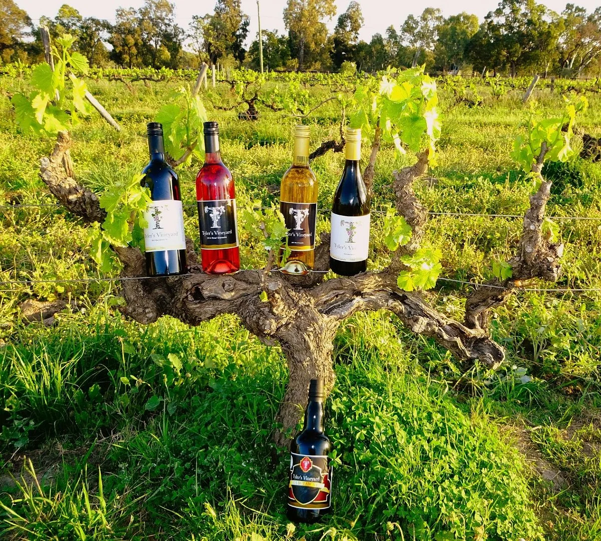 Tyler's Vineyard
