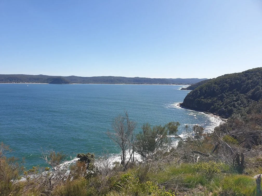 Box Head Trail