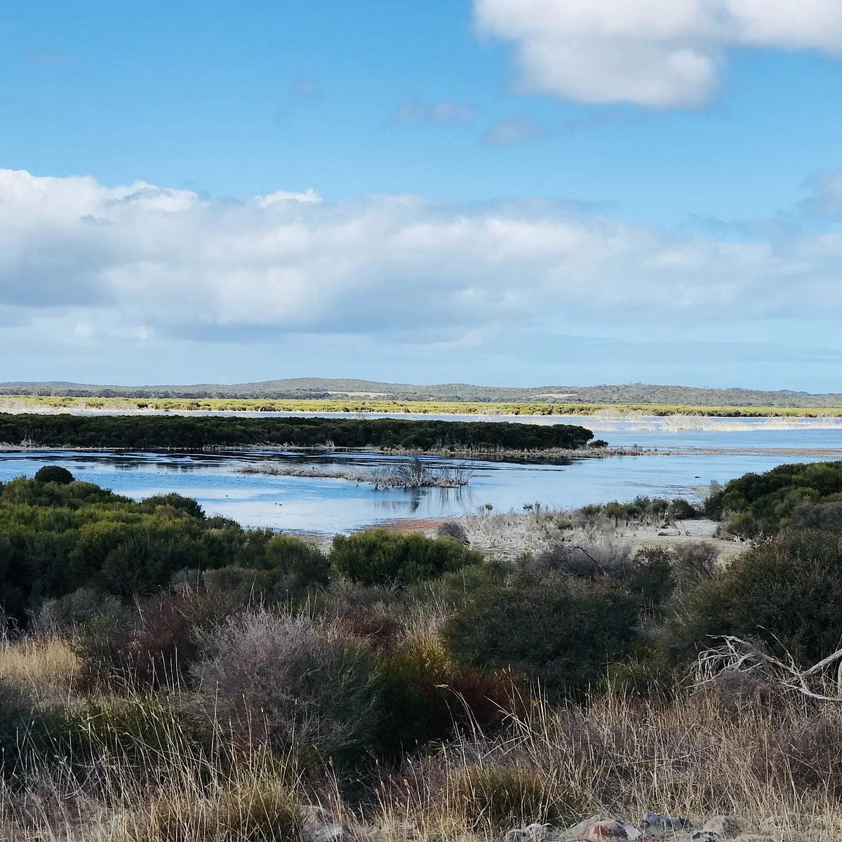 Murray Lagoon