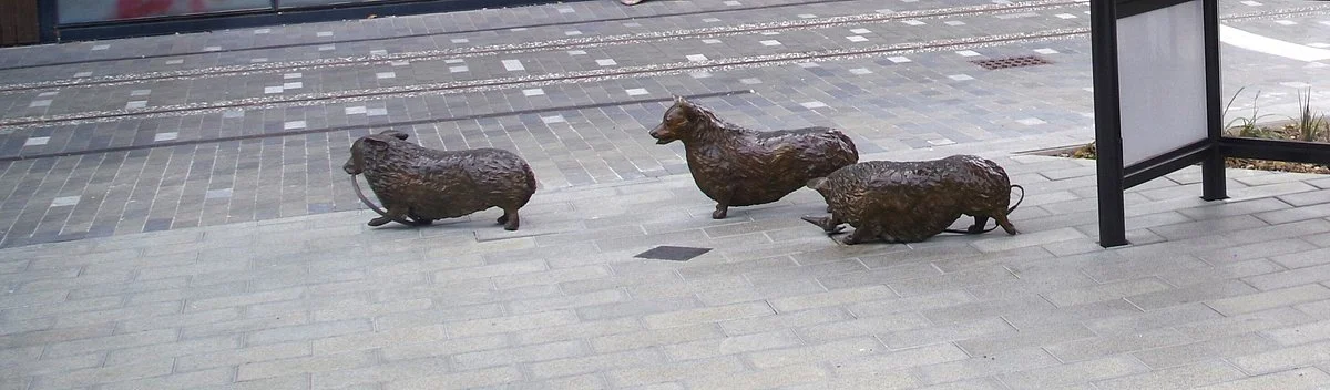 Corgis On High