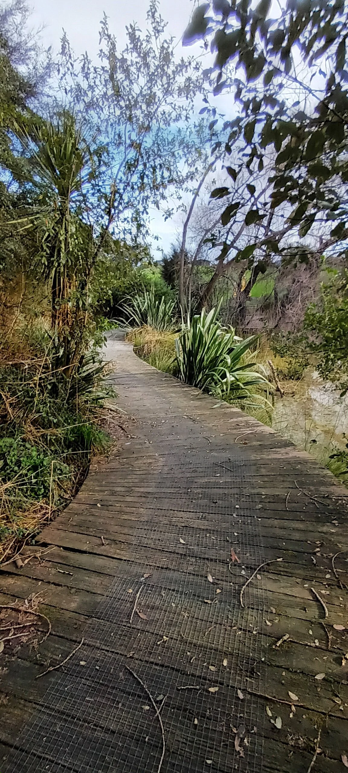 Hoddy Estuary Park
