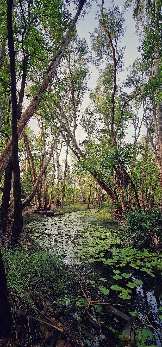 Botanic Walk