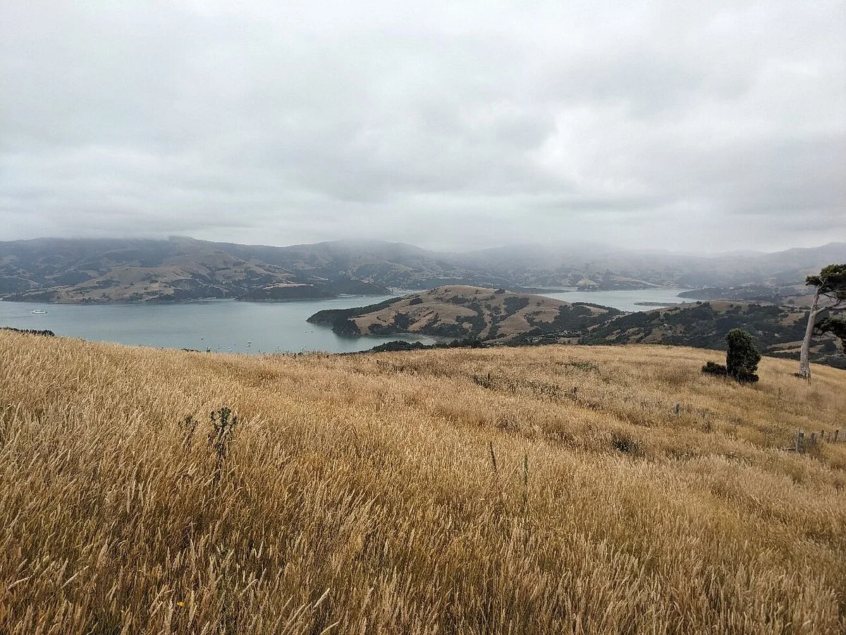 Akaroa Walks