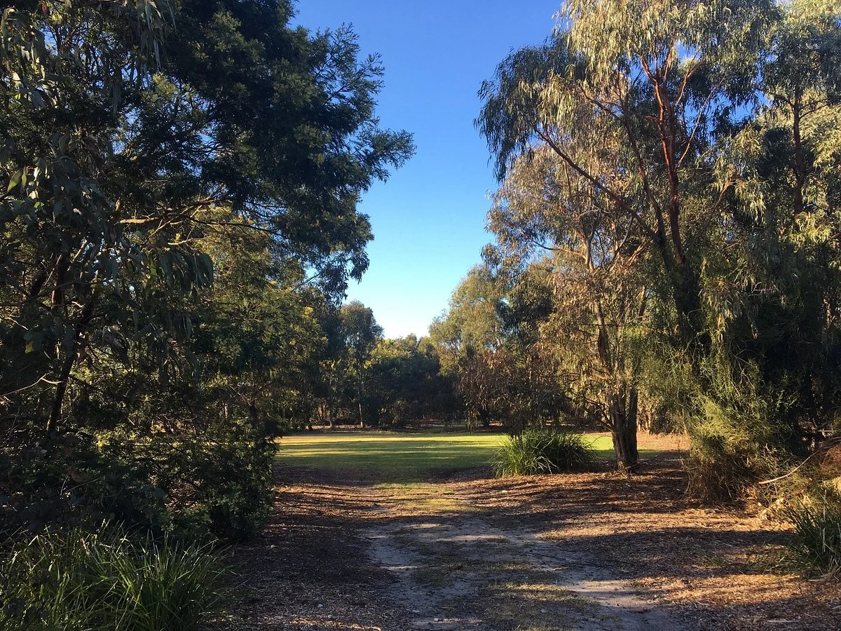 Maurie Jarvis Woodland