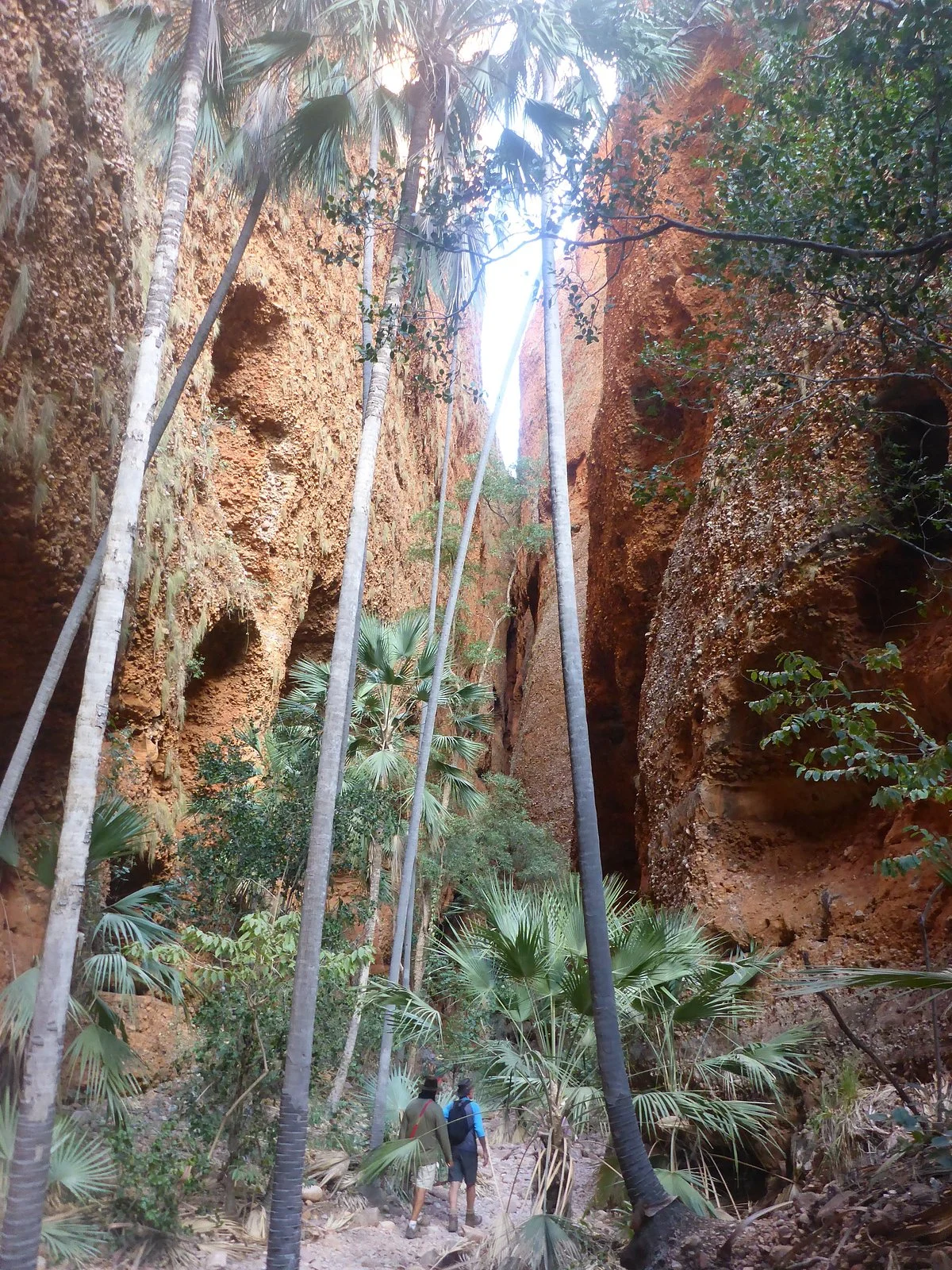 Echidna Chasm