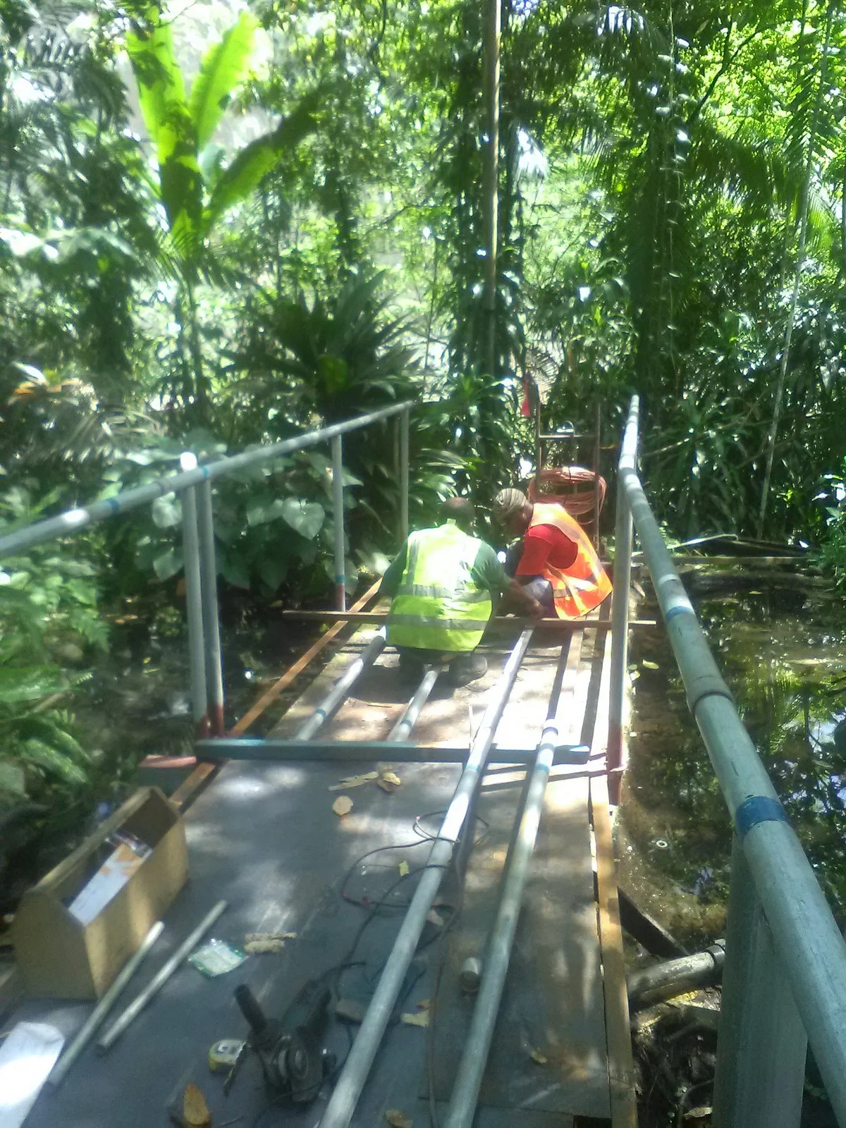 Rainforest Habitat