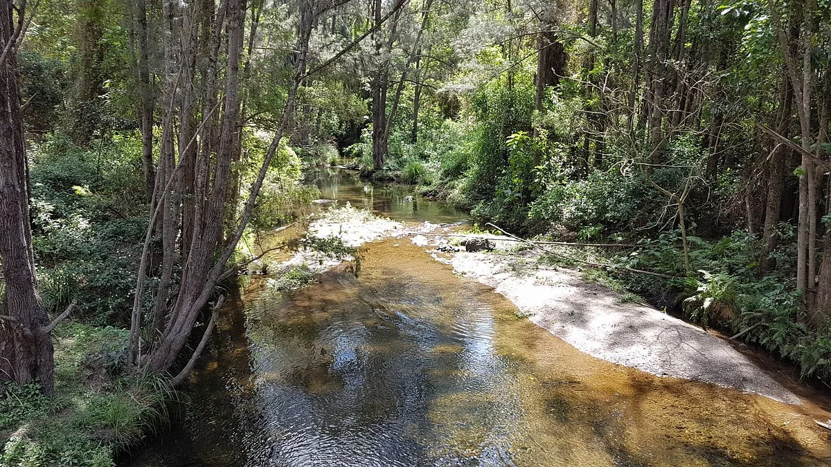Red Cedar Park
