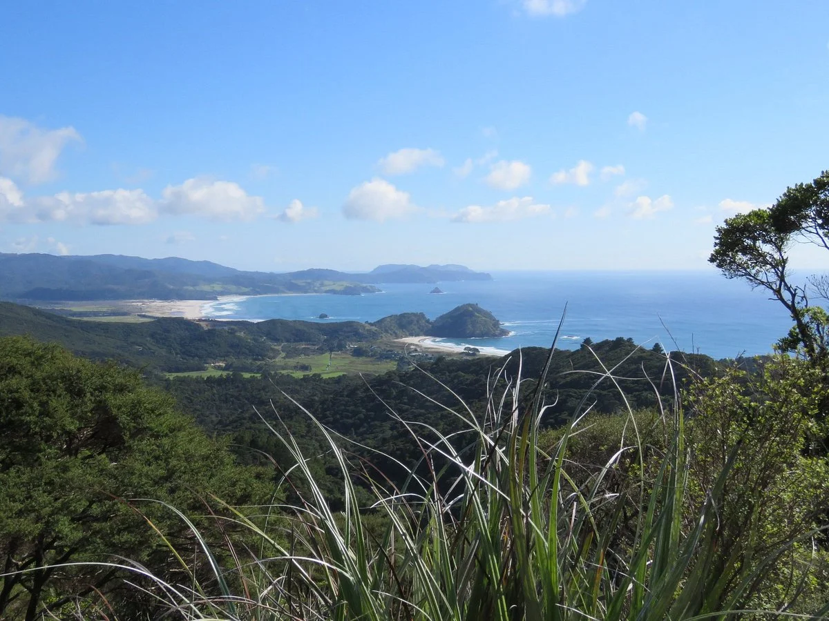 Station Rock Lookout