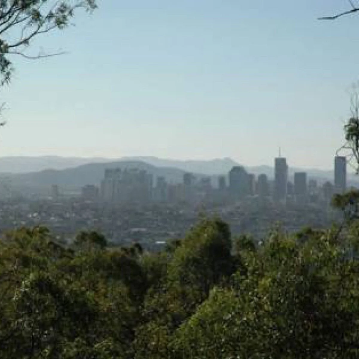 Whites Hill Reserve