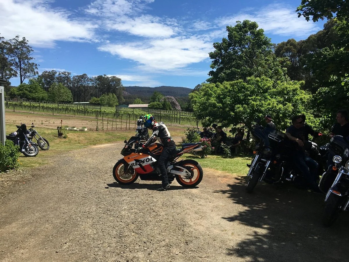 Noojee Vineyard