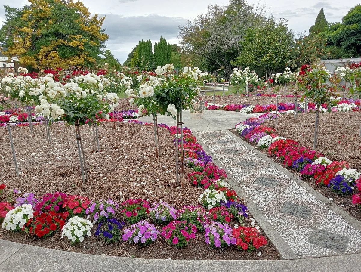 Pethybridge Rose Garden