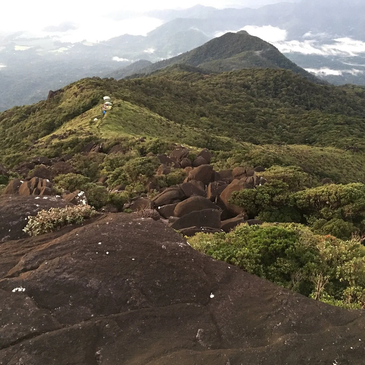 Mount Bartle Frere