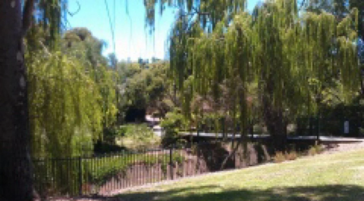 Wayville Reserve