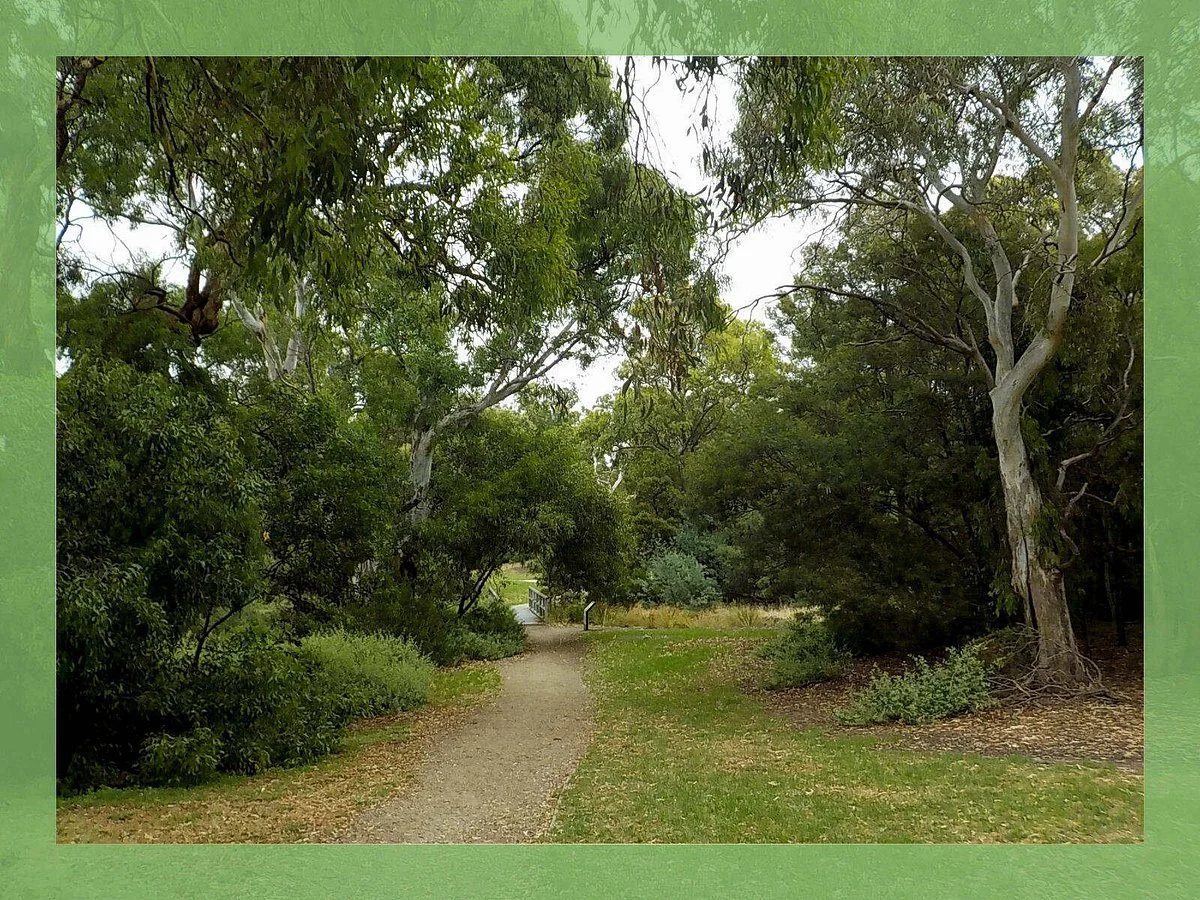 Napier Park