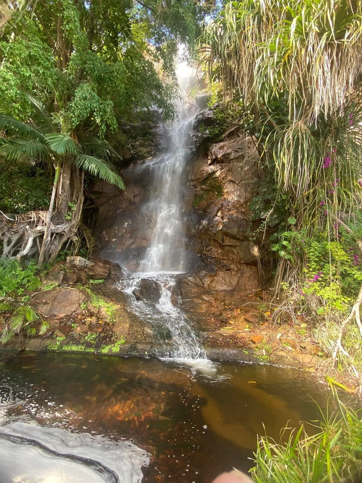 Anzac Park