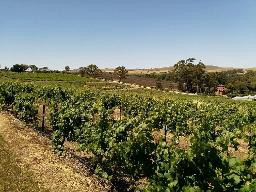 Crabtree Watervale Wines