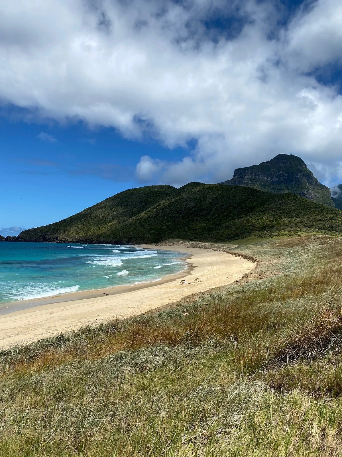 Blinky Beach