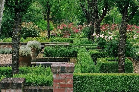 Frensham Gardens