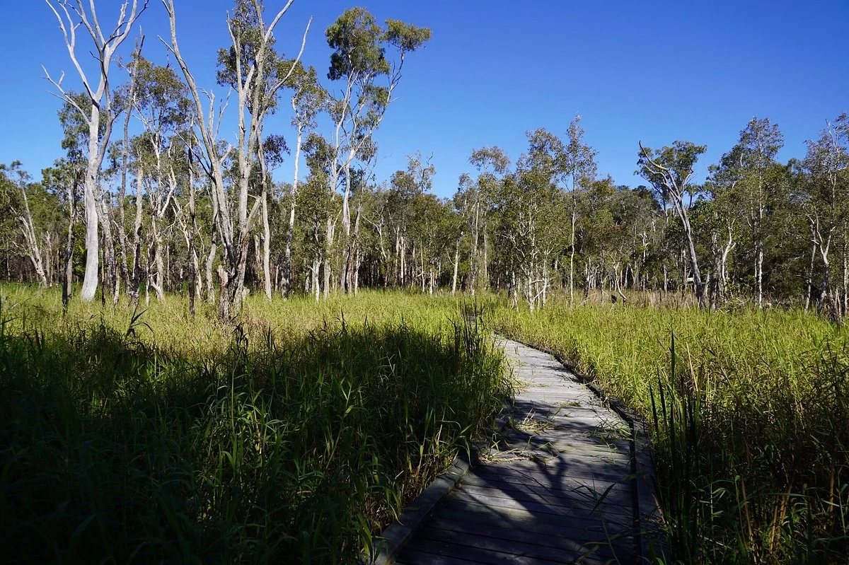 Fay Smith Wetlands
