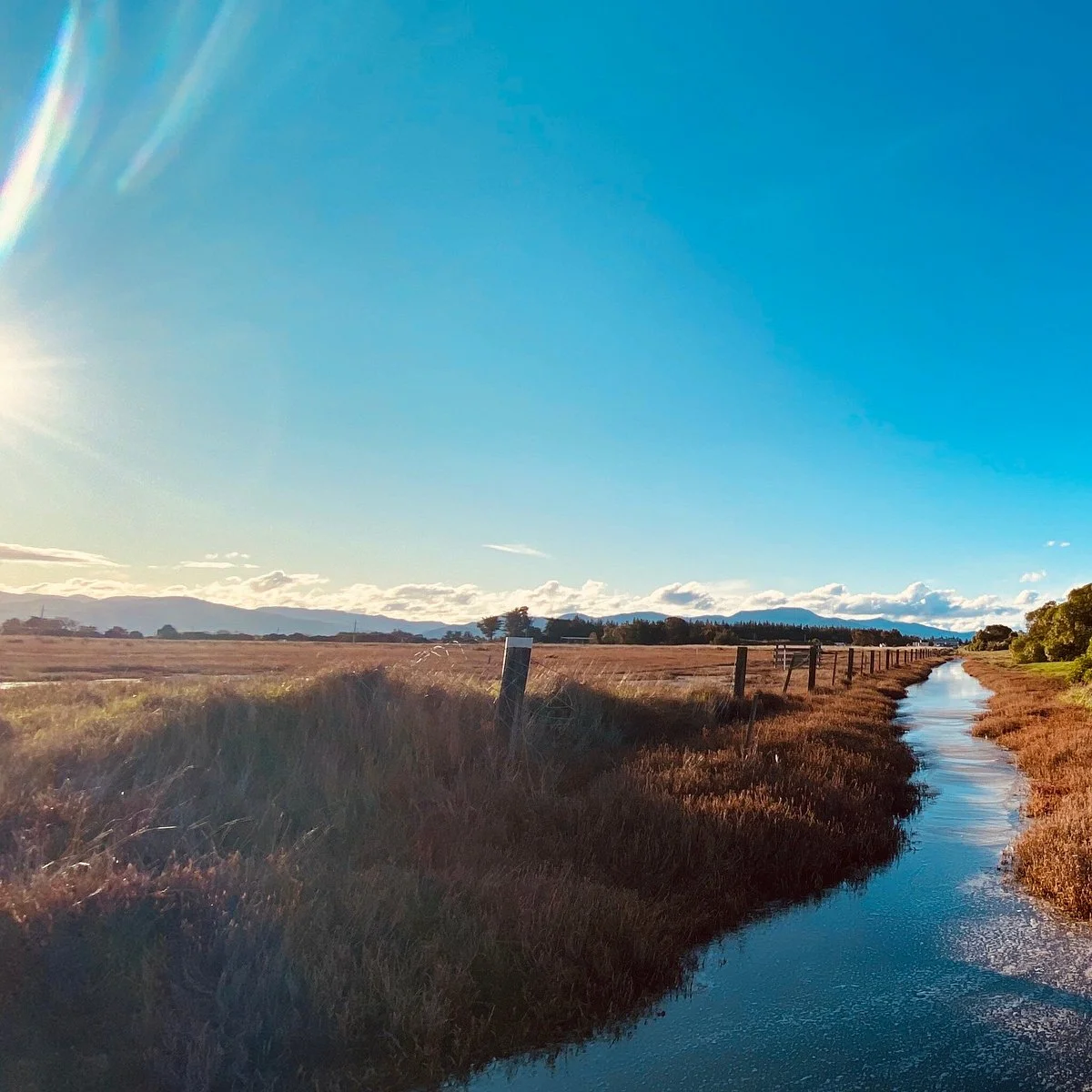 Wairau Lagoons Walkway