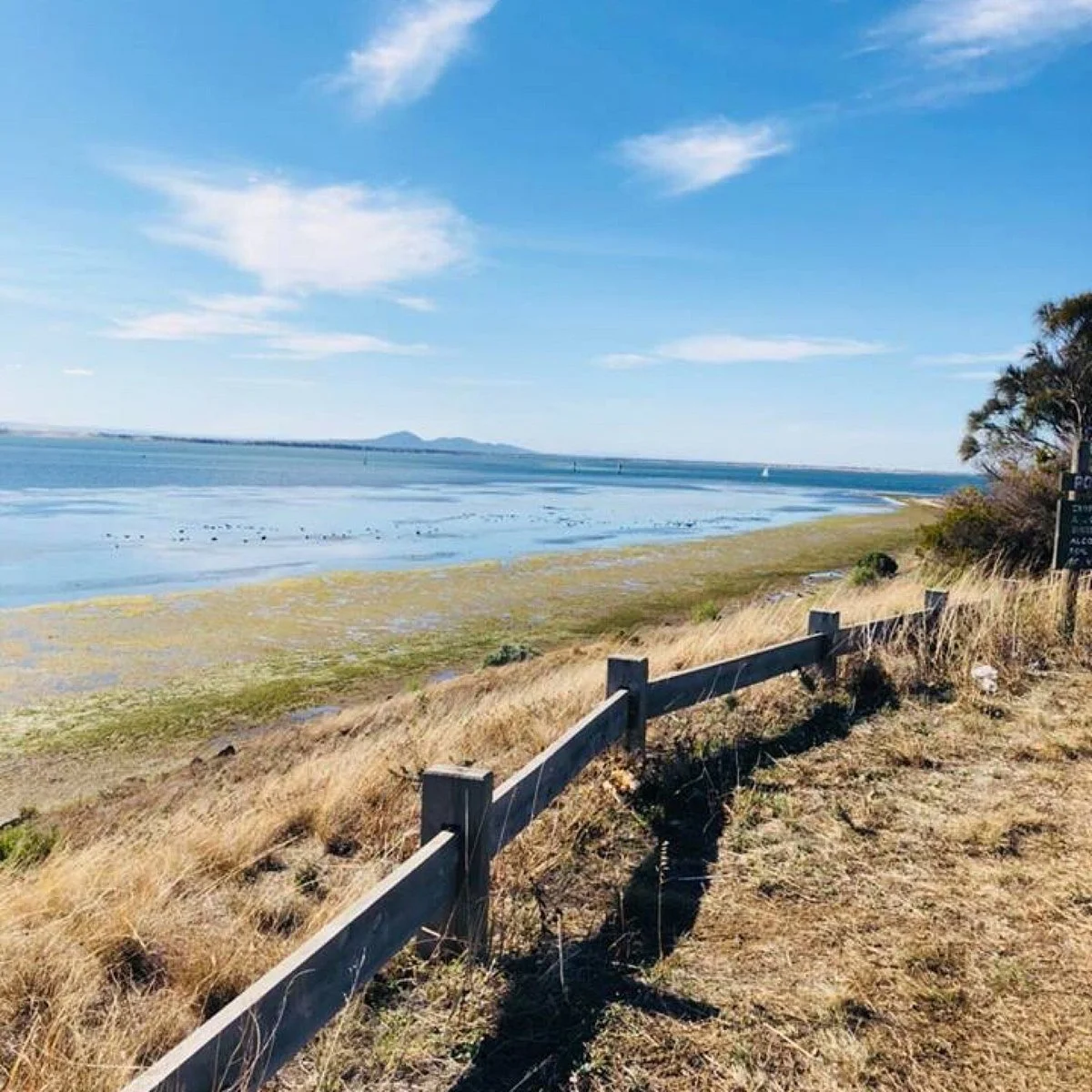 Point Henry Foreshore Reserve