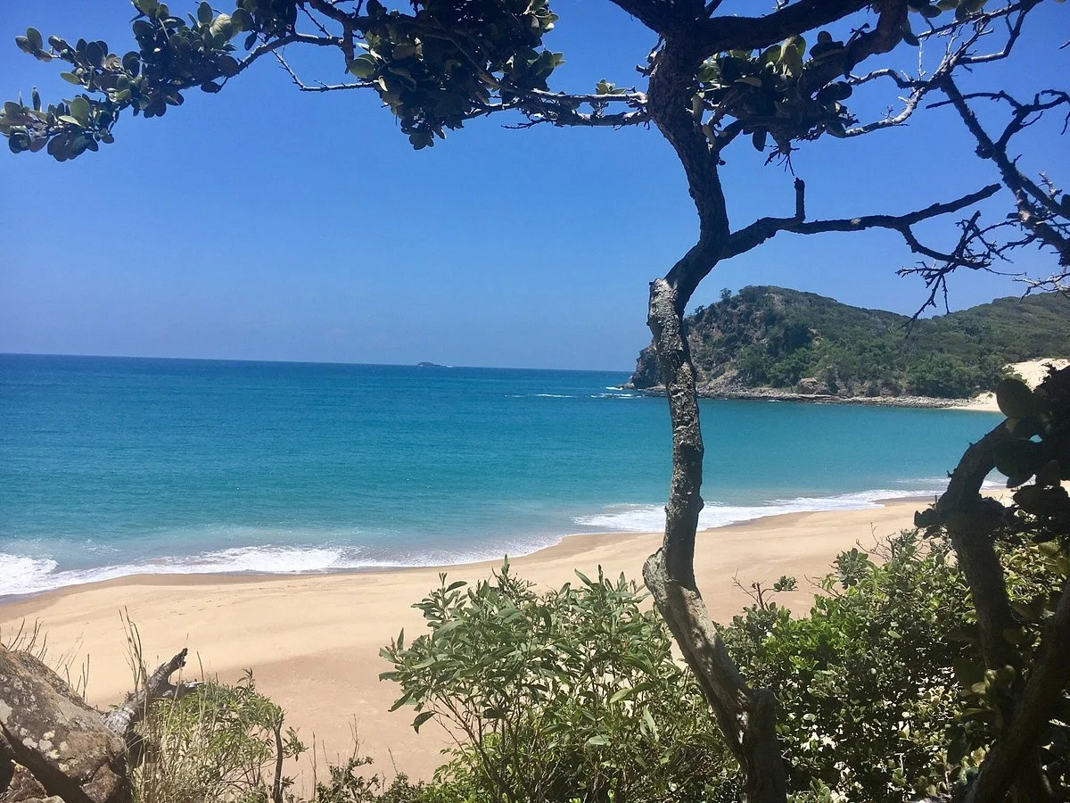 Butterfish Bay