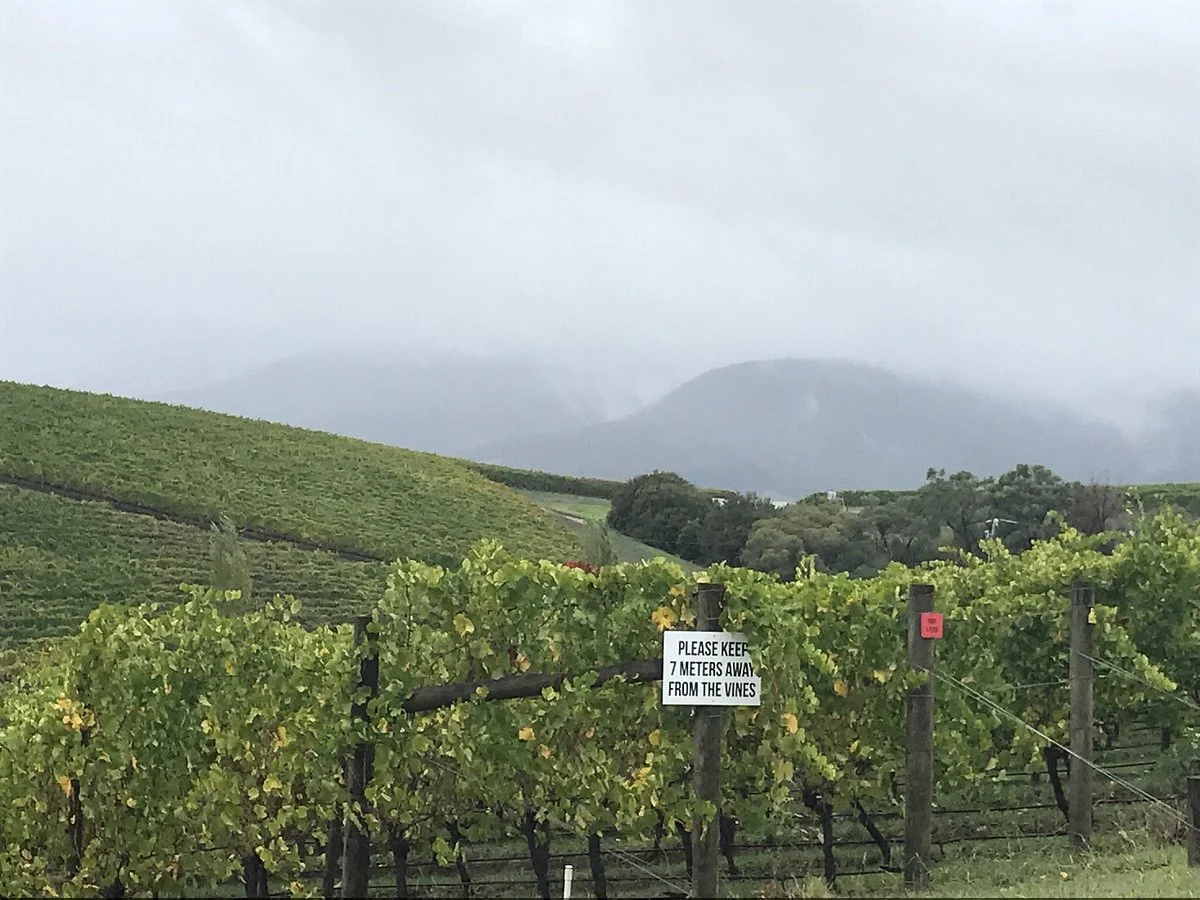Hanrahan Vineyard
