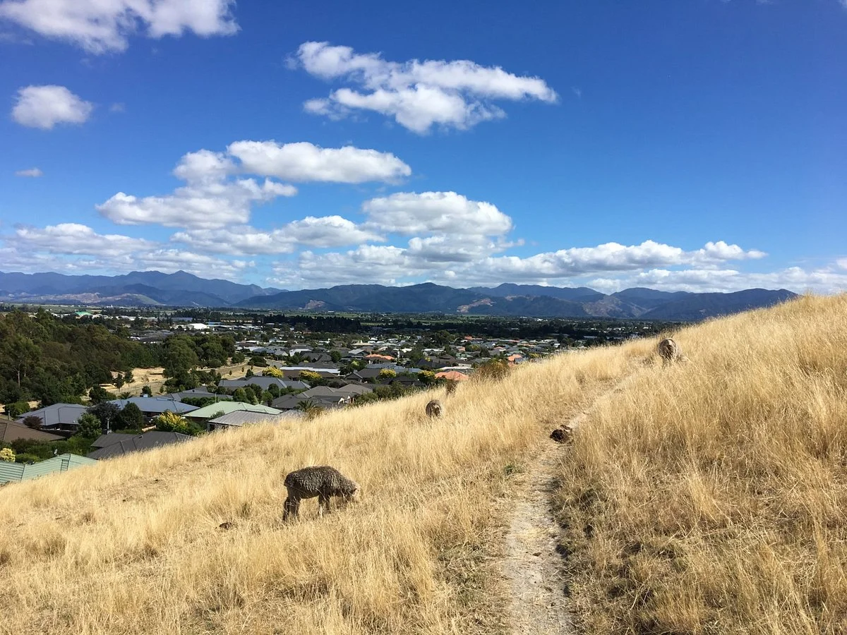 Wither Hills Mountainbike Park