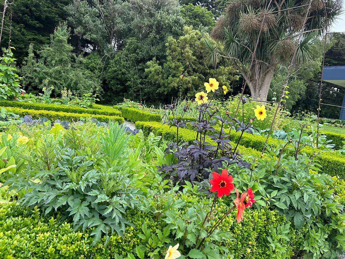 Admiral Gardens