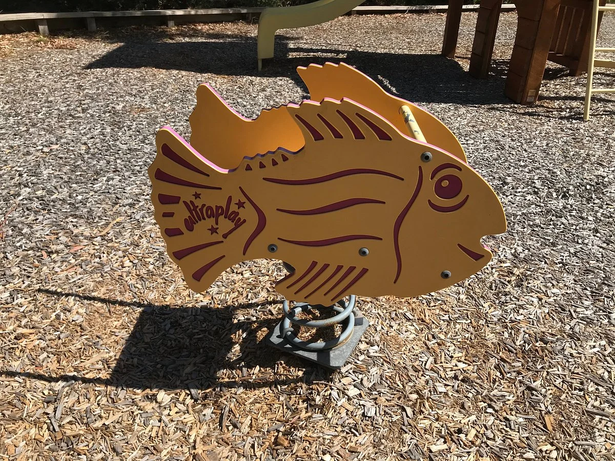 Taylor Reserve Playground