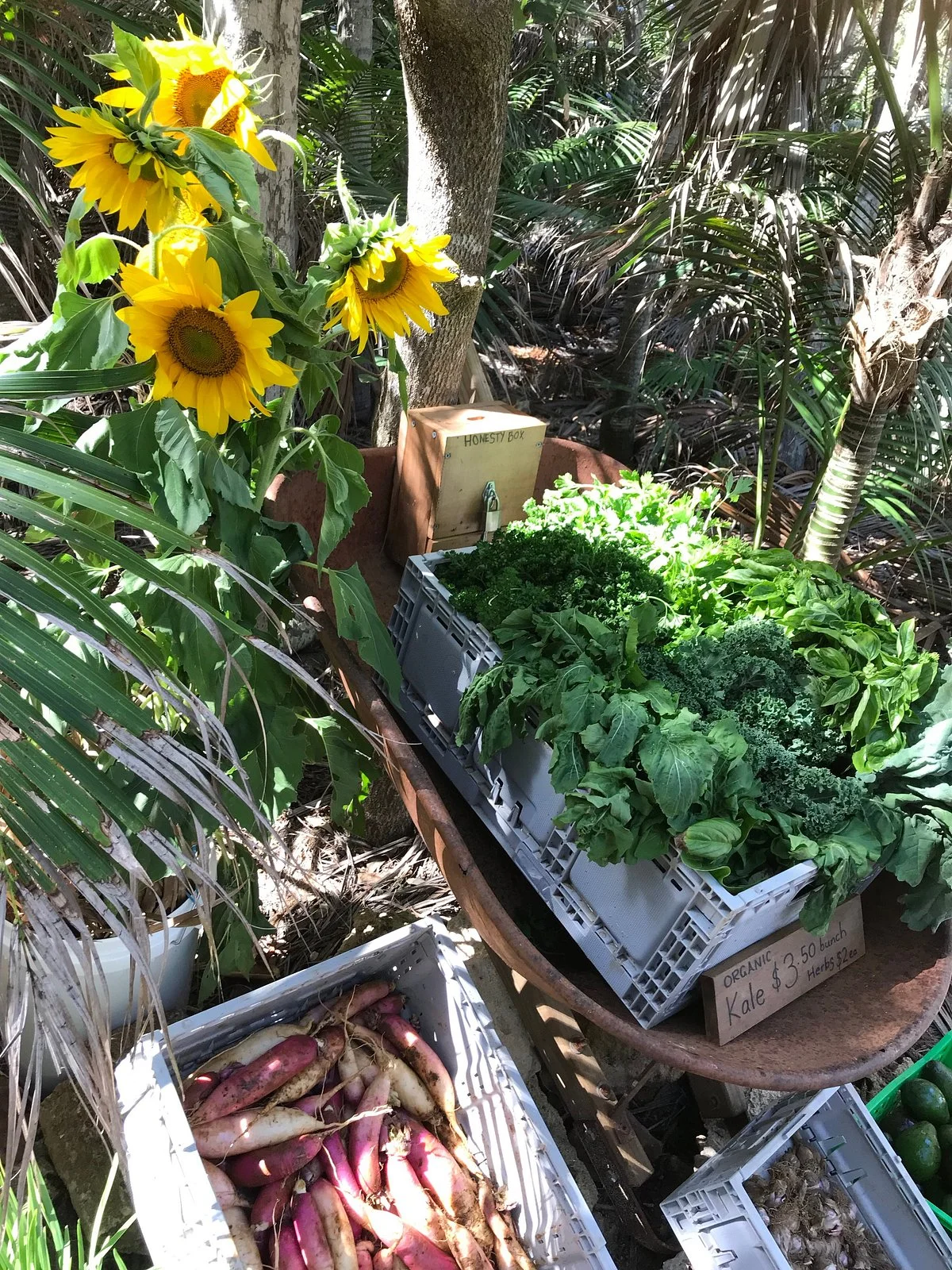 Thornleigh Farm