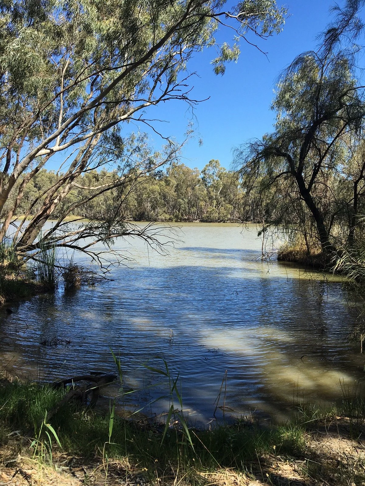 Darling River