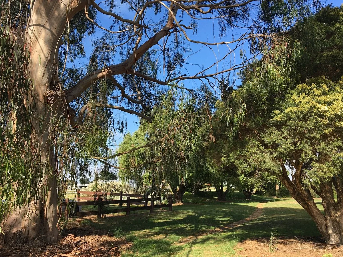 Sagasser Park
